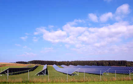 Graswuchsregulierung in Solarparks