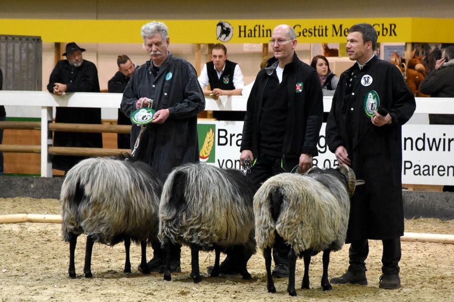 Bruno bei der Siegerehrung (Mitte) Foto: Peter Richterich